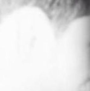 Meet your Posher, Kenith